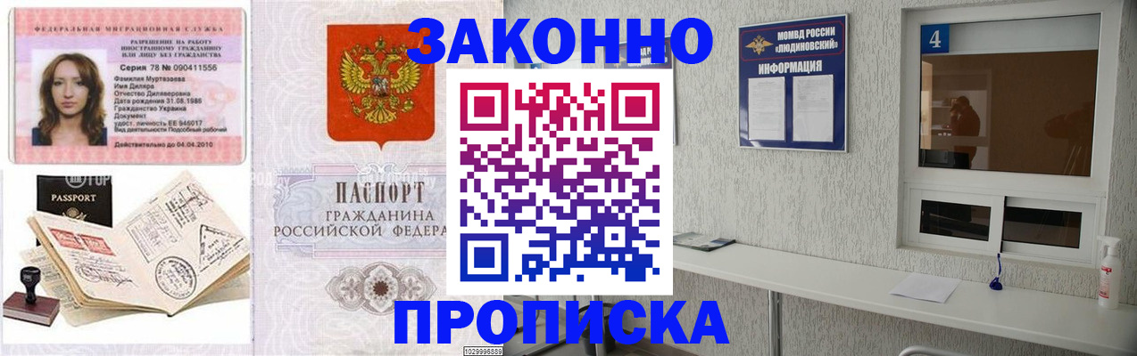 прописка в квартире в Кингисеппе