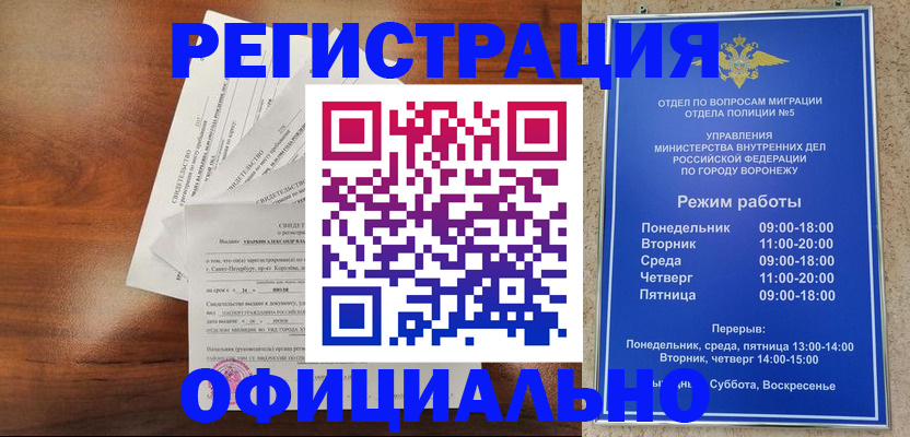 прописка поиск в Кингисеппе